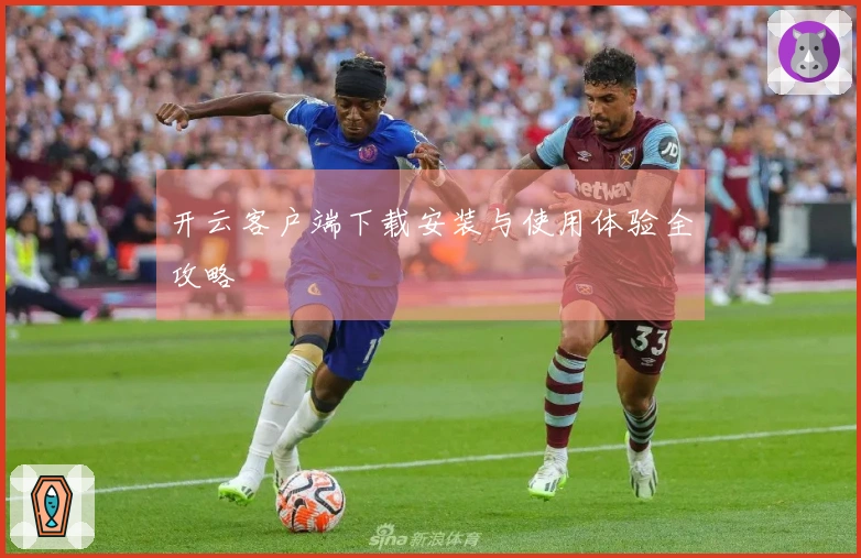 开云客户端下载安装与使用体验全攻略